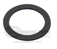 23329000 Fuel Cap Gasket